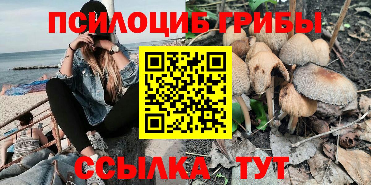 Галлюциногенные грибы Cubensis Стрежевой