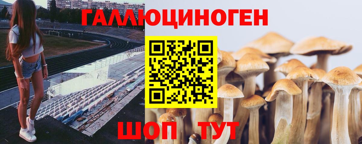 Стрежевой  Галлюциногенные грибы Magic Shrooms  купить  сайты  Вход с VPN 